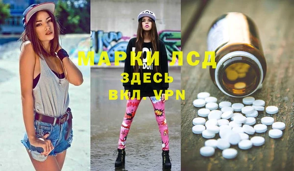 spice Богданович