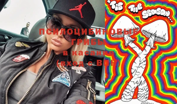 ГАЛЛЮЦИНОГЕННЫЕ ГРИБЫ Арсеньев