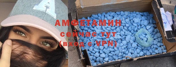 spice Богданович